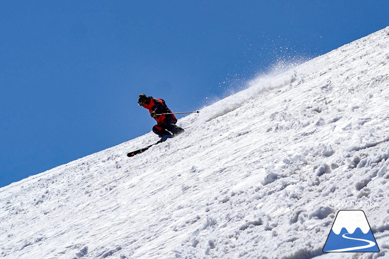 ニセコグラン・ヒラフ DYNASTAR SKI TEST RIDE DAYS Photo Session!!最高の天気に恵まれたニセコに、最高の仲間たちが集まりました☆